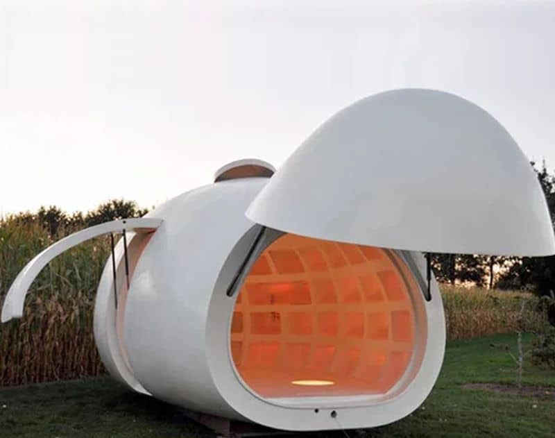 Egg Shaped Backyard