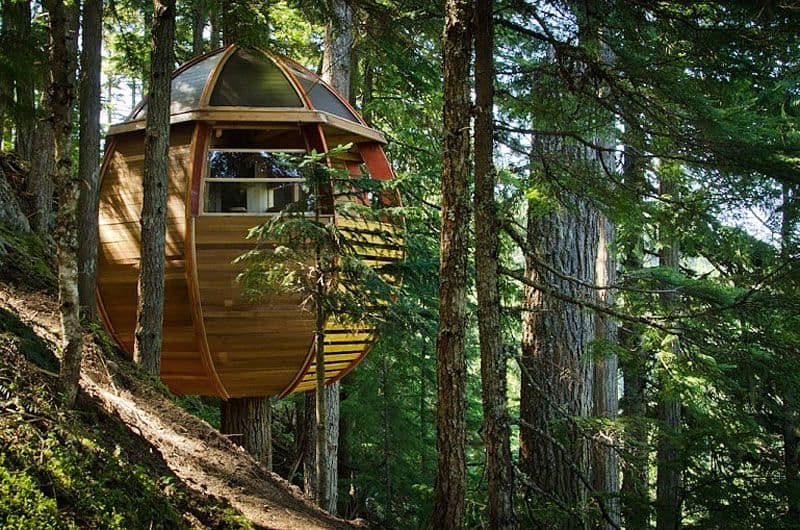 Egg Shaped Hem-Loft Tree House