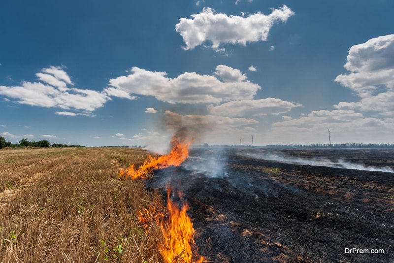 nature hits the panic button