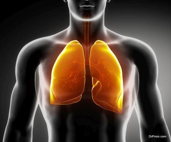 Mycobacterium tuberculosis