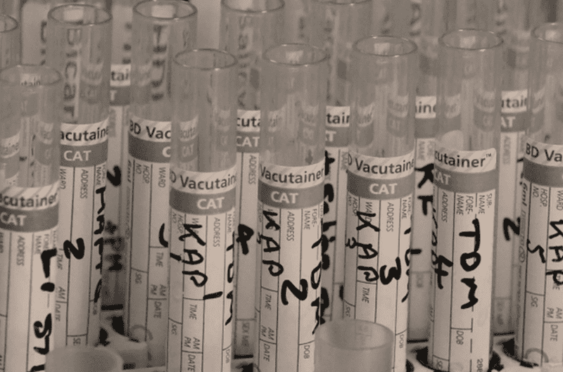 Targeted Sequencing