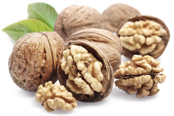 walnut