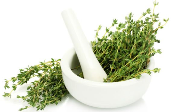 thyme-in-bowl-e1365089427971