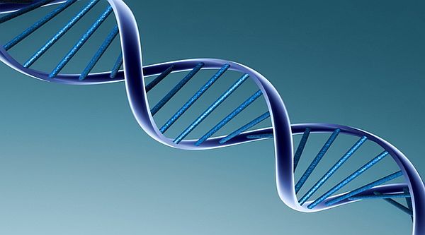 gene expression modifications