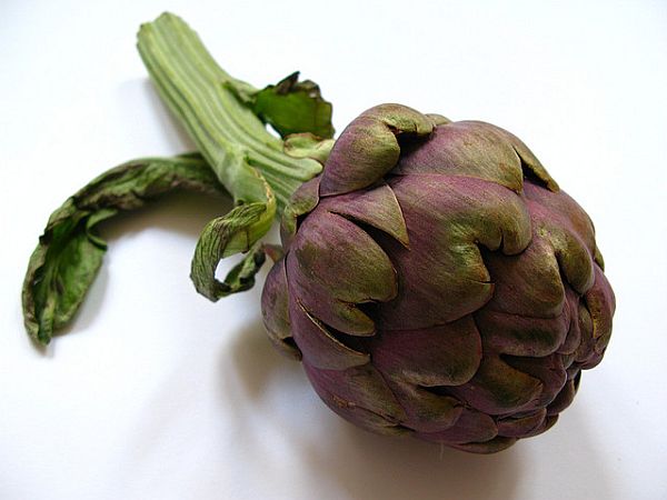 artichoke