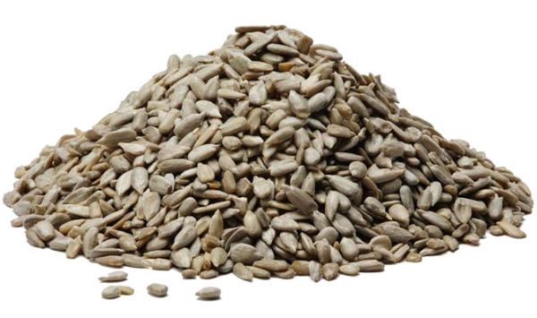 SUNFLOWER SEEDS 1