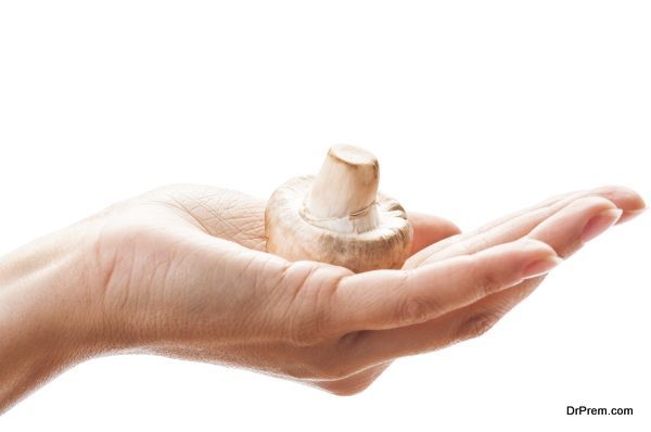 Female hand holding a mushroom