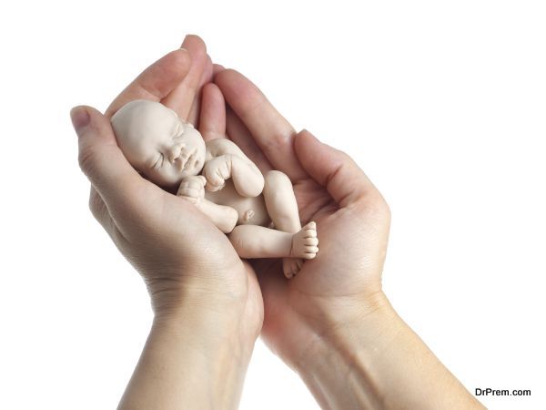 embryo in woman hand