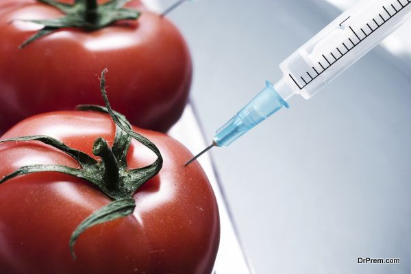 injection of some substance into fresh red tomatoes