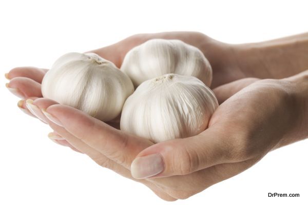three garlic heads in woman hand isolated