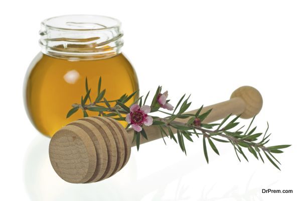 Jar of honey with dipper and manuka or New Zealand tea tree flower (Leptospermum)