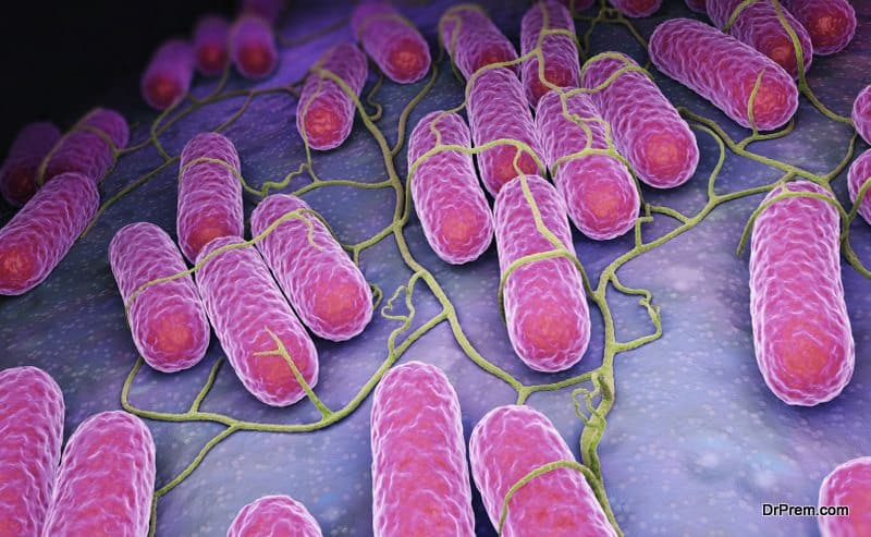 Gut-microbes