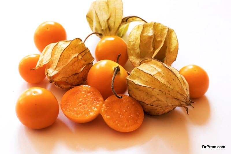 Adverse-side-effects-of-winter-cherry