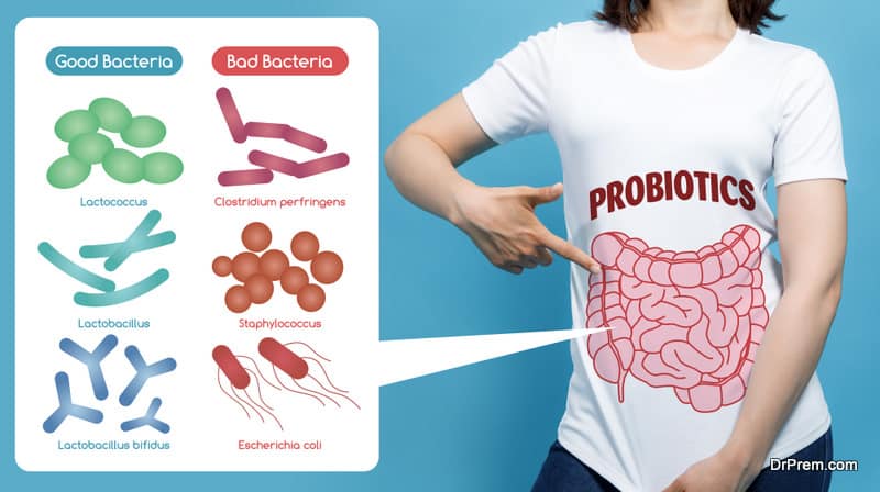 probiotics and gut health