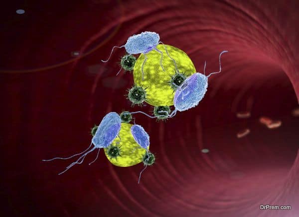probiotics in the gut