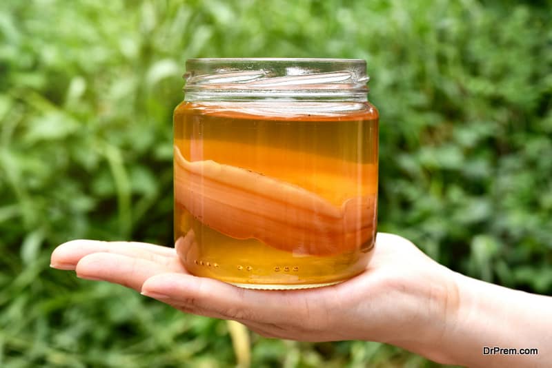 wellness-beverage-Kombucha