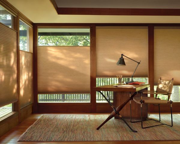 honeycomb shades (4)