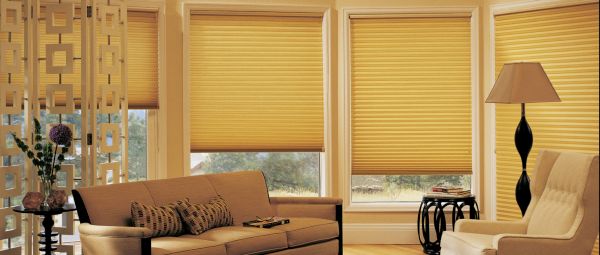 honeycomb shades (9)