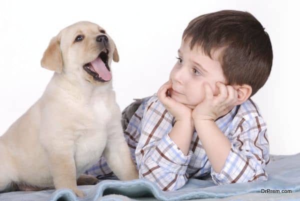 kid with small puppy