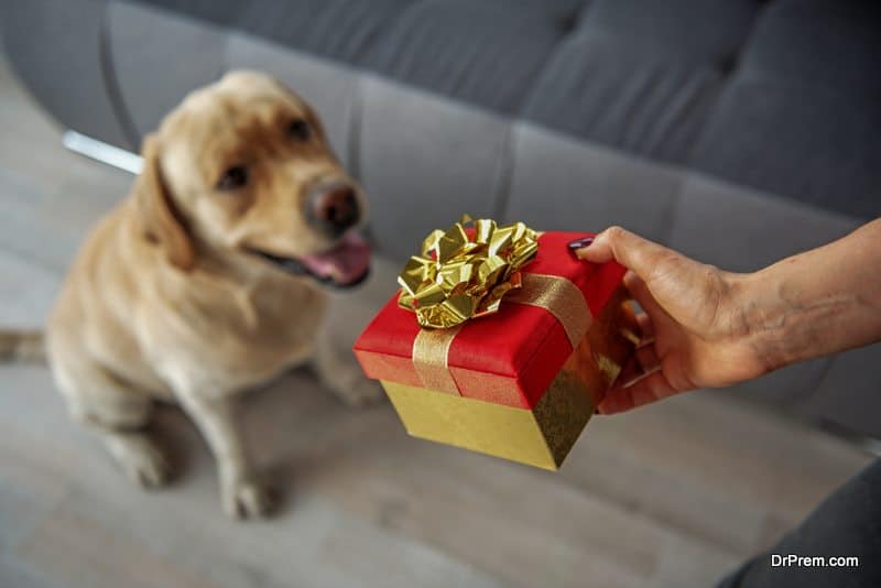  gifts for your pets