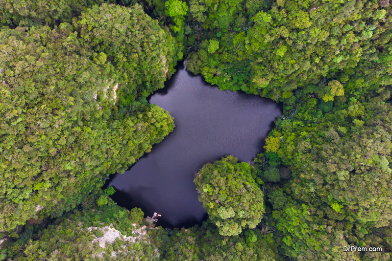 amazing-national-parks-in-Malaysia