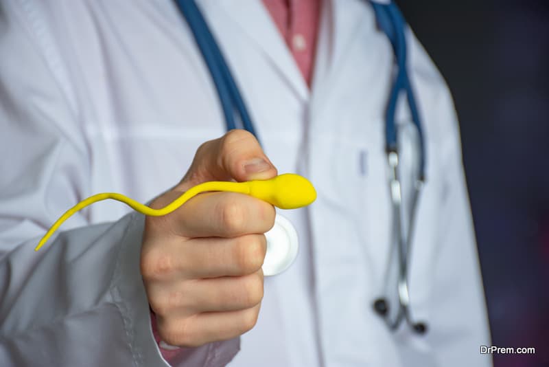 Sperm problems as cause of male infertility concept photo. Urologist or fertility specialist holds enlarged sperm model in his outstretched hand