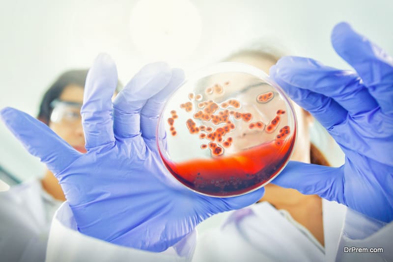 microbiology tests to check AMR infection