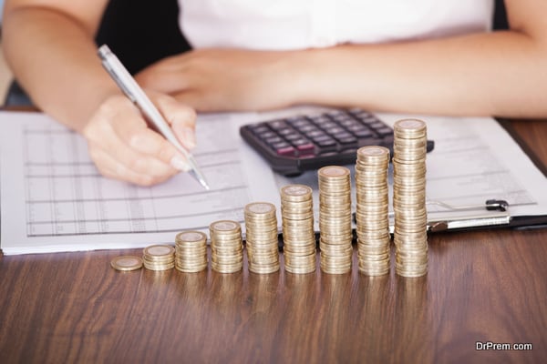 Woman Calculating Financial Work