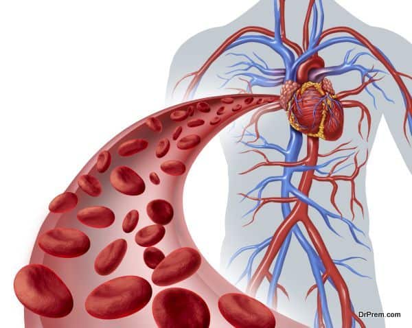 Blood heart circulation health symbol with red cells flowing through three dimensional veins from the human circulatory system representing a medical health care icon of cardiology and cardiovascular fitness on a white background.