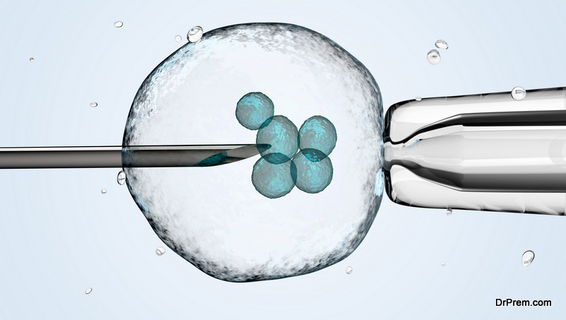 Cell is holding by a pipet and a neeldle