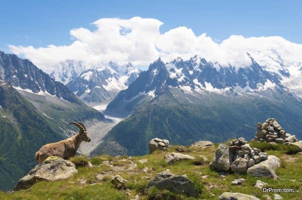 Mont Blanc, France