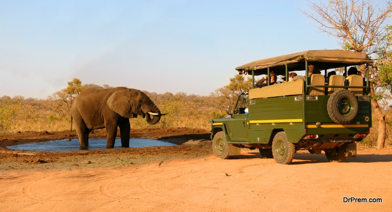 A safari truck with tourists close to an elephant at a watering hole.