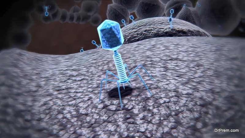 Unique Phage Therapy