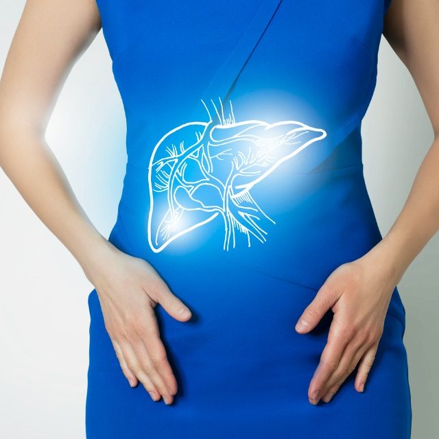 graphic-visualization-of-healthy-human-liver-positive-blue-bright-of-picture-id1306454056