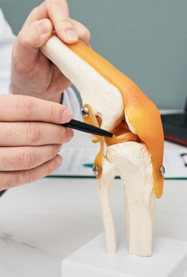 Traumatologist-pointing-pen-to-meniscus-in-a-kneejoint