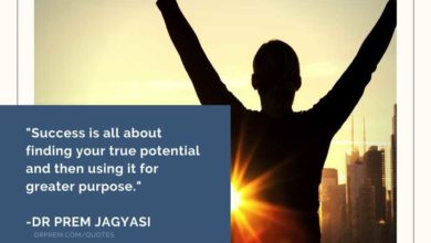 Success is all about finding-Dr Prem Jagyasi Quotes