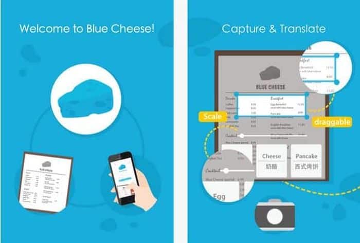 Blue Cheese app – Review