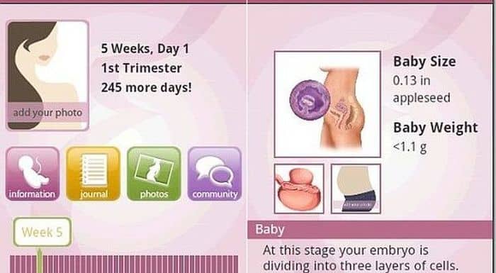 BabyBump Pregnancy app helps you track the glorious journey of pregnancy