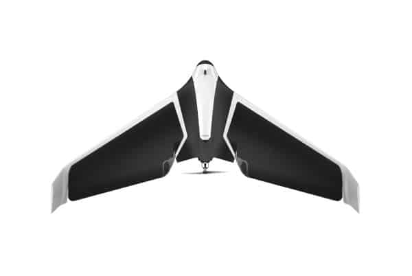 Parrot Disco