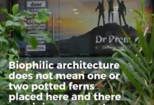 Biophilic Design Architecture in Office - Dr Prem