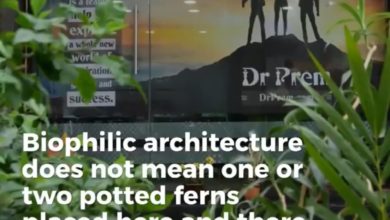 Biophilic Design Architecture in Office - Dr Prem
