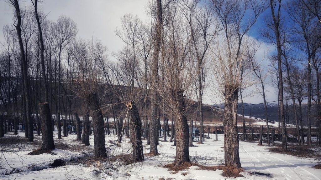 Lake Sevan Armenia7