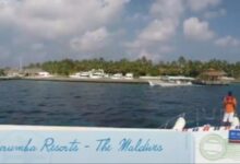 Serene Ocean Maldives Scuba Diving & Watersports Thoddoo - Dr Prem Jagyasi