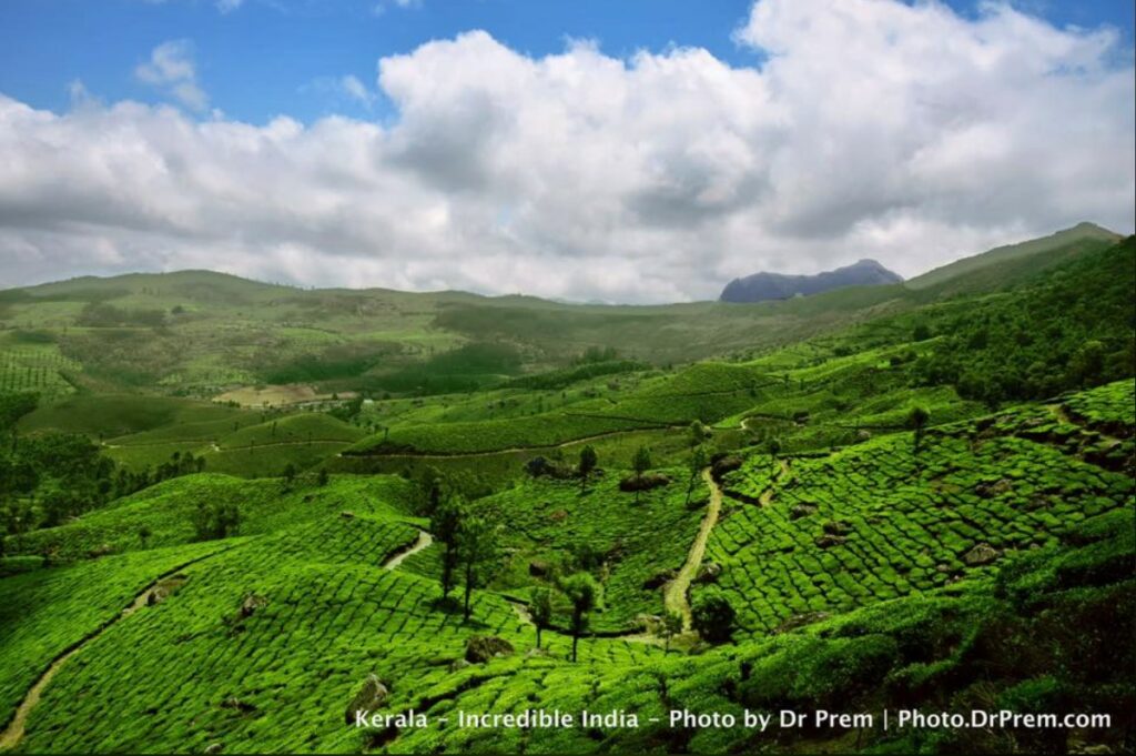 Here Are Some Pics Of Mesmerising, Green And Incredibly Beautiful Kerala - Dr Prem Jagyasi 1