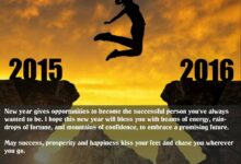 May Success, Prosperity And Happiness Kiss Your Feet And Chase You Wherever You Go - Happy New Year - 2016 - Dr Prem Jagyasi