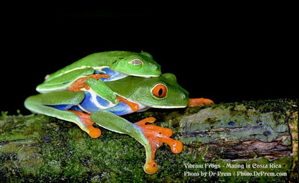 Photos You Have Never Seen Before, Pura Vida - Costa Rica - Dr Prem Jagyasi