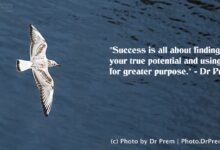 Success - Thought Of The Day By Dr Prem Jagyasi