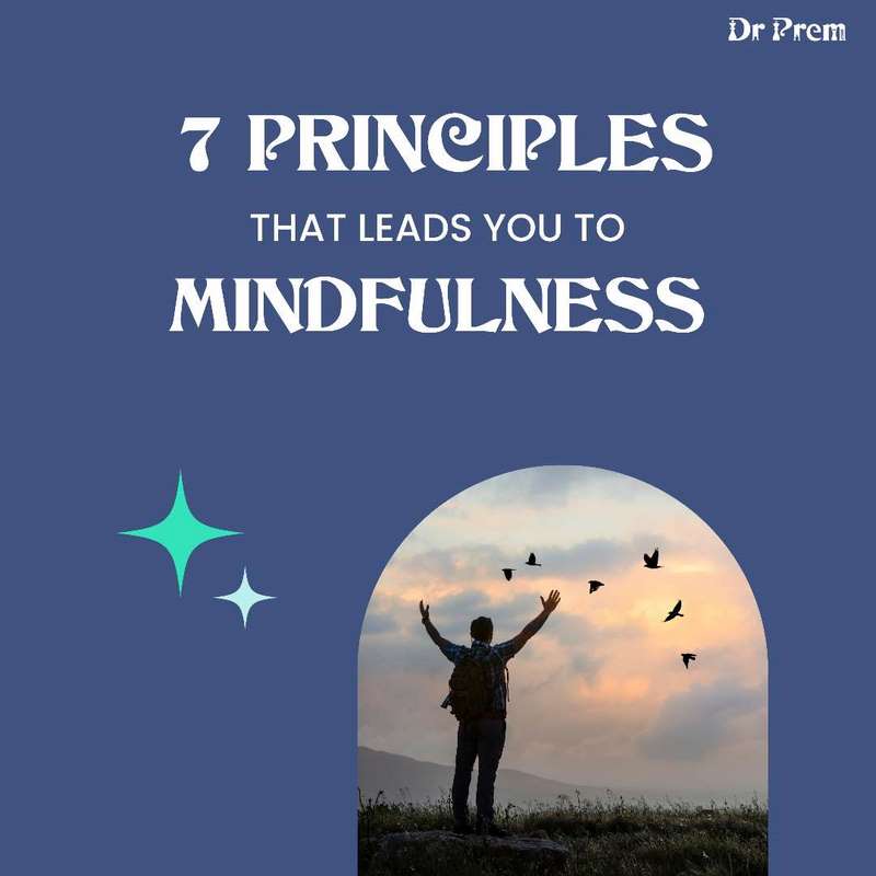 7 Principles That Lead You To Mindfulness