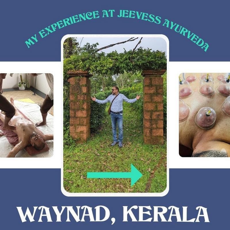 My experience in personalized Ayurvedic Care at Jeeves Ayurveda, Kerala