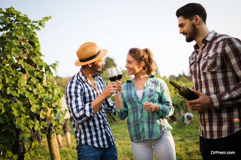 Happy wine tourists tasting wine in vineyard